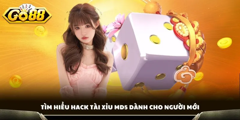 Tìm hiểu hack tài xỉu MD5 dành cho người mới