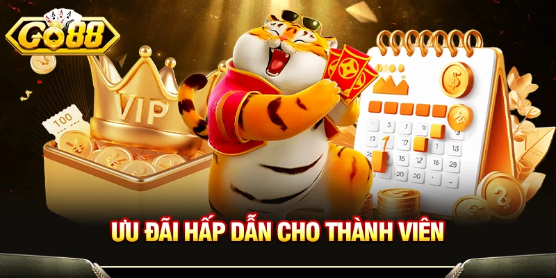 Ưu đãi hấp dẫn cho thành viên